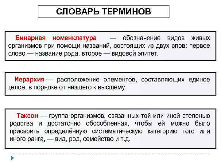 СЛОВАРЬ ТЕРМИНОВ 