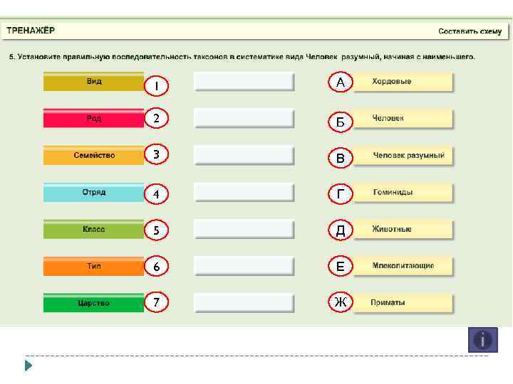 1 А 2 Б 3 В 4 Г 5 Д 6 Е 7 Ж