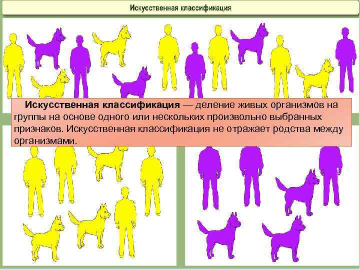 Искусственная классификация. Искусственная классификация не отражает. Естественная классификация примеры. Искусственная классификация организмов.