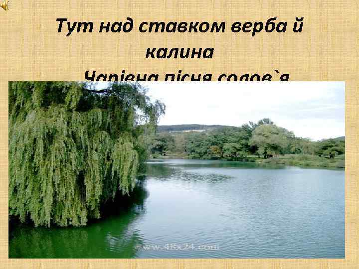Тут над ставком верба й калина Чарівна пісня солов`я. 