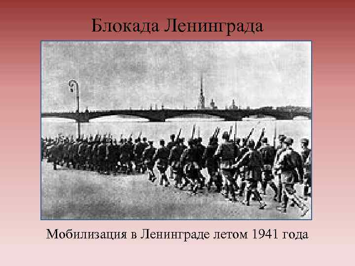 Блокада Ленинграда Мобилизация в Ленинграде летом 1941 года 