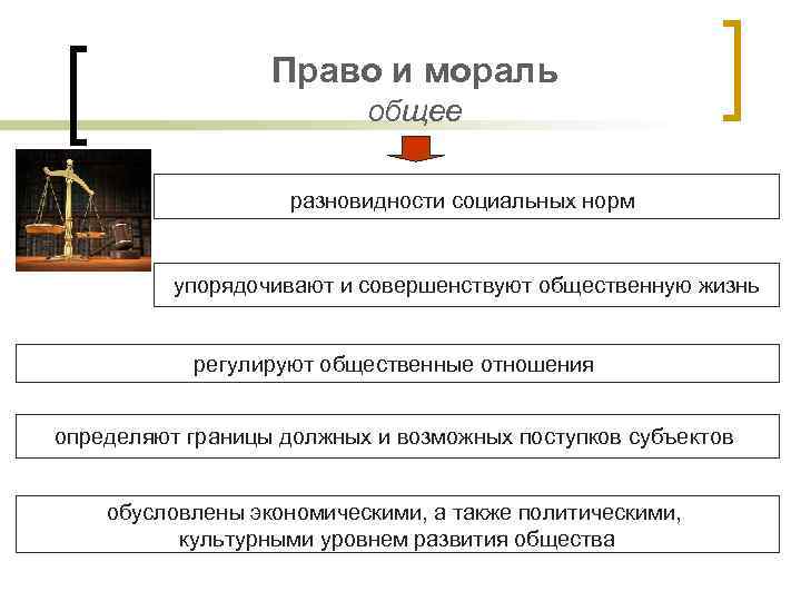 Право и мораль общее разновидности социальных норм упорядочивают и совершенствуют общественную жизнь регулируют общественные