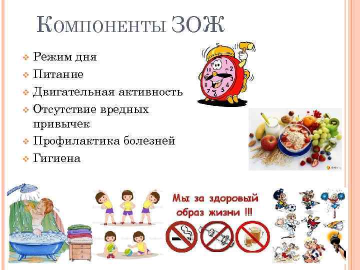 КОМПОНЕНТЫ ЗОЖ Режим дня v Питание v Двигательная активность v Отсутствие вредных привычек v