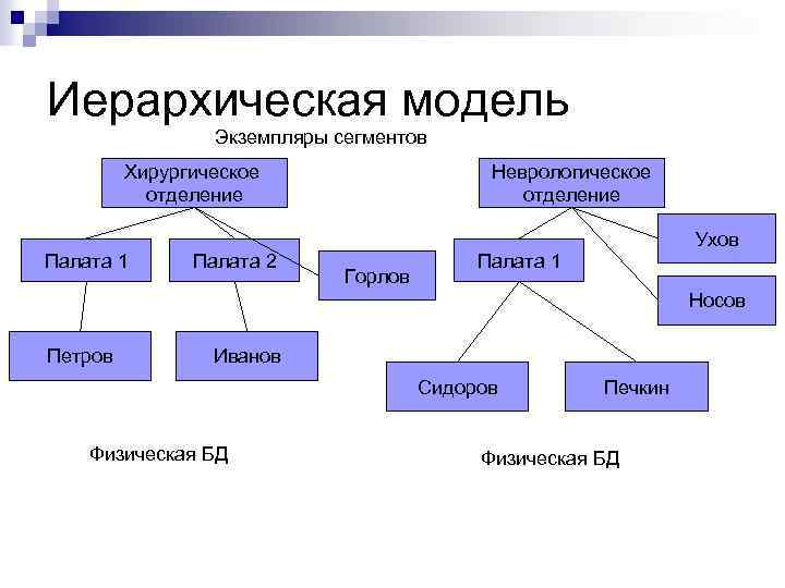 Иерархическая схема классификации мяса