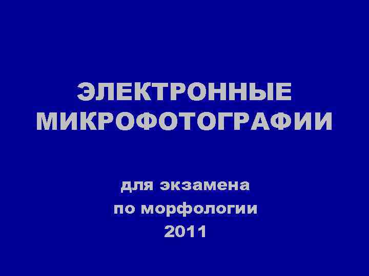 ЭЛЕКТРОННЫЕ МИКРОФОТОГРАФИИ для экзамена по морфологии 2011 