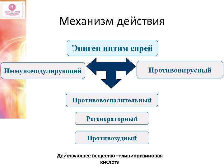 Механизм действия Эпиген интим спрей Противовирусный Иммуномодулирующий Противовоспалительный Регенераторный Противозудный Действующее вещество –глицирризиновая –