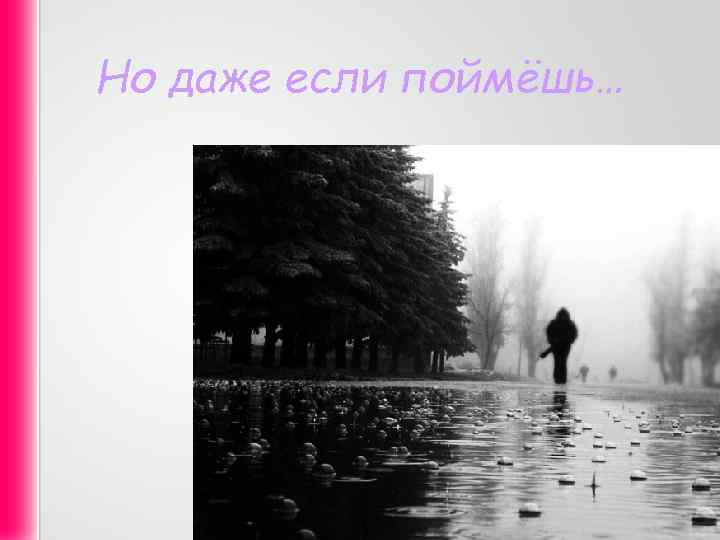 Но даже если поймёшь… 