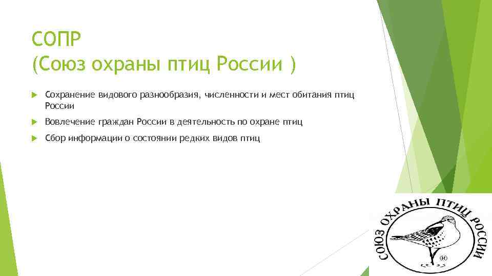 СОПР (Союз охраны птиц России ) Сохранение видового разнообразия, численности и мест обитания птиц