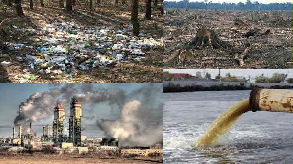 Последствий окружающей среды а также