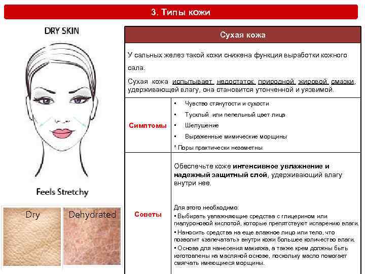 3. Типы кожи Сухая кожа У сальных желез такой кожи снижена функция выработки кожного