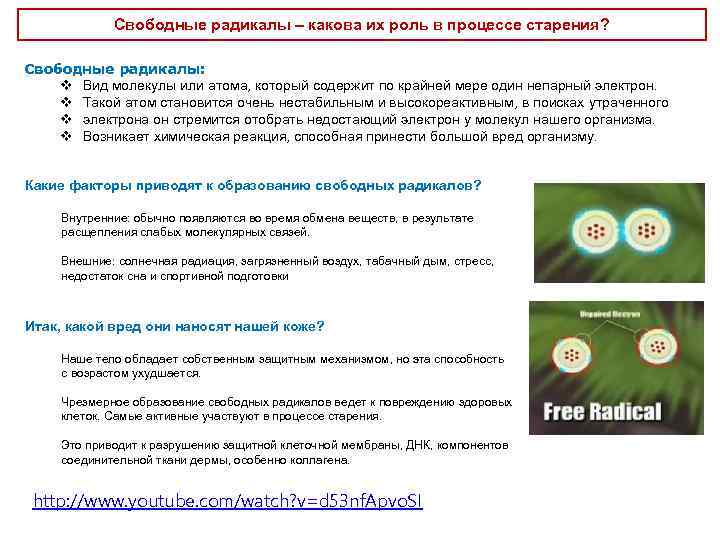 Свободные радикалы – какова их роль в процессе старения? Свободные радикалы: v Вид молекулы