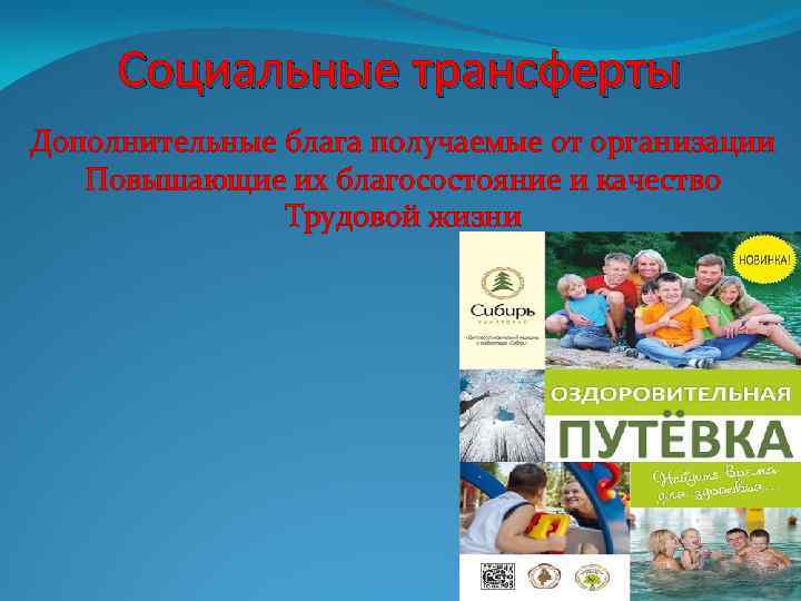 Социальные трансферты Дополнительные блага получаемые от организации Повышающие их благосостояние и качество Трудовой жизни