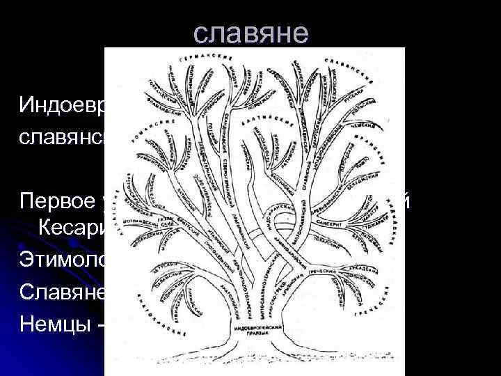 славяне Индоевропейская языковая семья-> славянская группа Первое упоминание VI н. э. (Прокопий Кесарийский) Этимология: