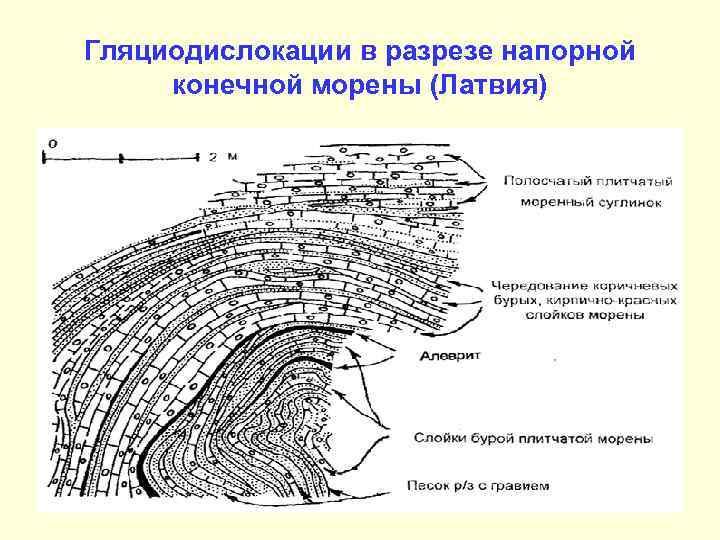 Гляциодислокации в разрезе напорной конечной морены (Латвия) 