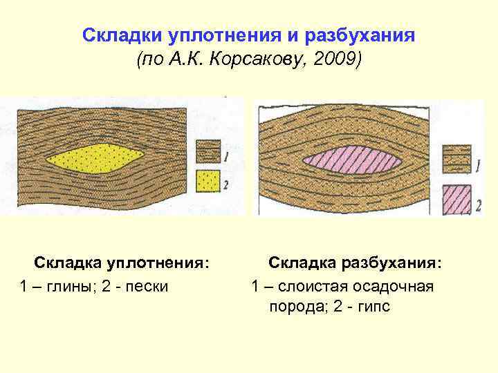 Складки уплотнения и разбухания (по А. К. Корсакову, 2009) Складка уплотнения: 1 – глины;