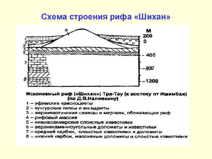 Схема строения рифа «Шихан» 