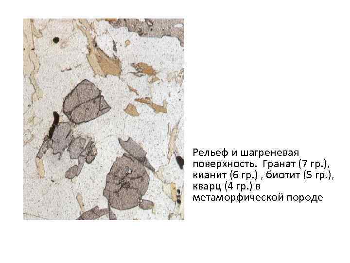 Рельеф и шагреневая поверхность. Гранат (7 гр. ), кианит (6 гр. ) , биотит
