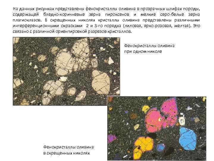 На данных рисунках представлены фенокристаллы оливина в прозрачных шлифах породы, содержащей бледно-коричневые зерна пироксенов