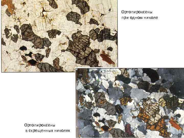 Ортопироксены при одном николе Ортопироксены в скрещенных николях 