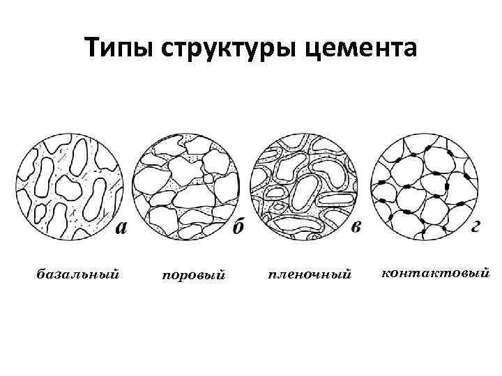 Типы структуры цемента базальный поровый пленочный контактовый 