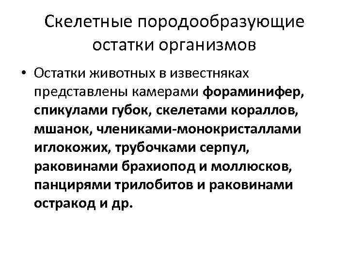 Скелетные породообразующие остатки организмов • Остатки животных в известняках представлены камерами фораминифер, спикулами губок,