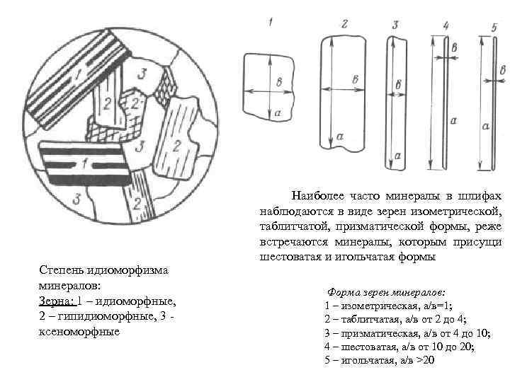 Степень идиоморфизма минералов: Зерна: 1 – идиоморфные, 2 – гипидиоморфные, 3 ксеноморфные Наиболее часто
