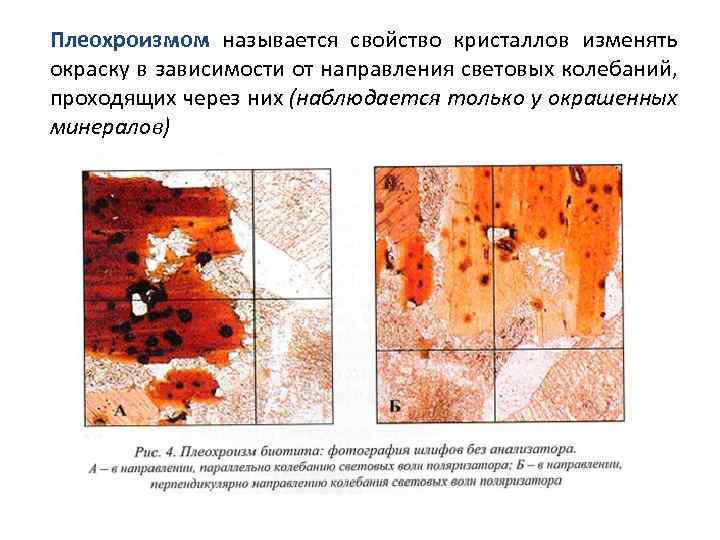 Плеохроизмом называется свойство кристаллов изменять окраску в зависимости от направления световых колебаний, проходящих через