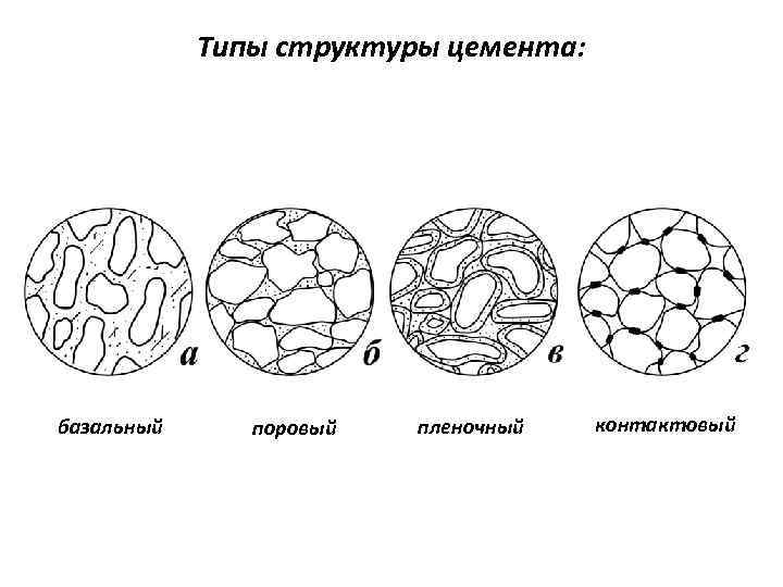 Типы структуры цемента: базальный поровый пленочный контактовый 