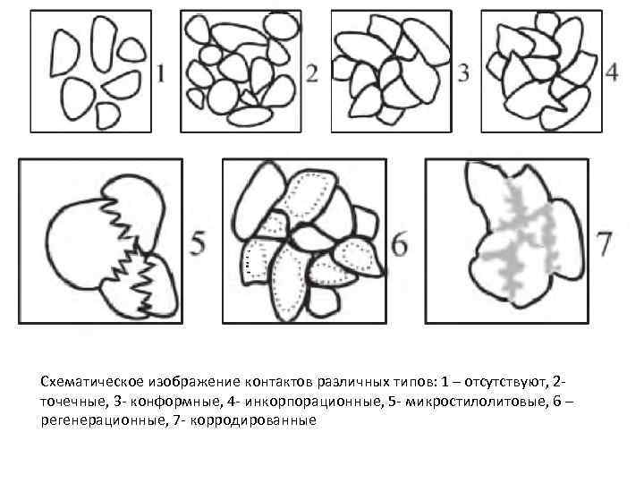 Схематическое изображение контактов различных типов: 1 – отсутствуют, 2 точечные, 3 - конформные, 4
