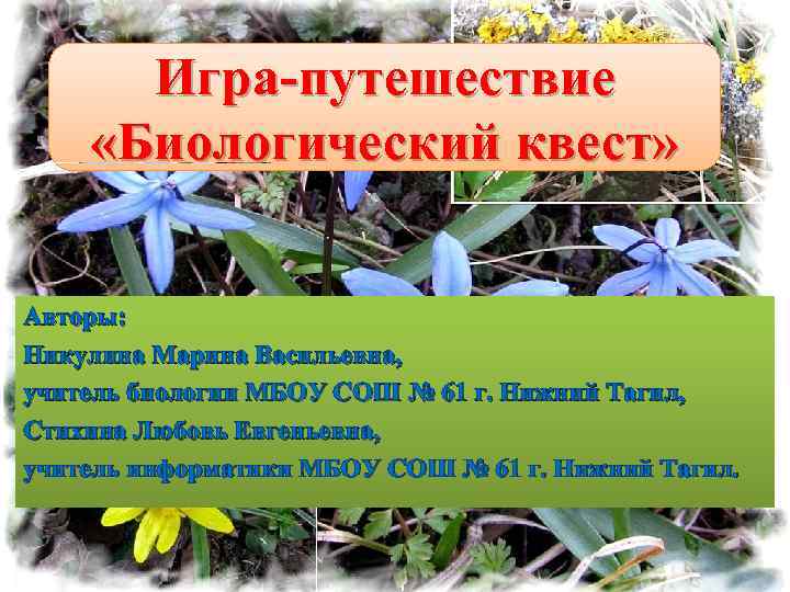 Игра-путешествие «Биологический квест» Авторы: Никулина Марина Васильевна, учитель биологии МБОУ СОШ № 61 г.