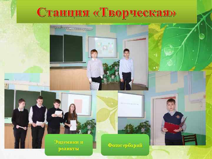 Станция «Творческая» Эндемики и реликты Фотогербарий 