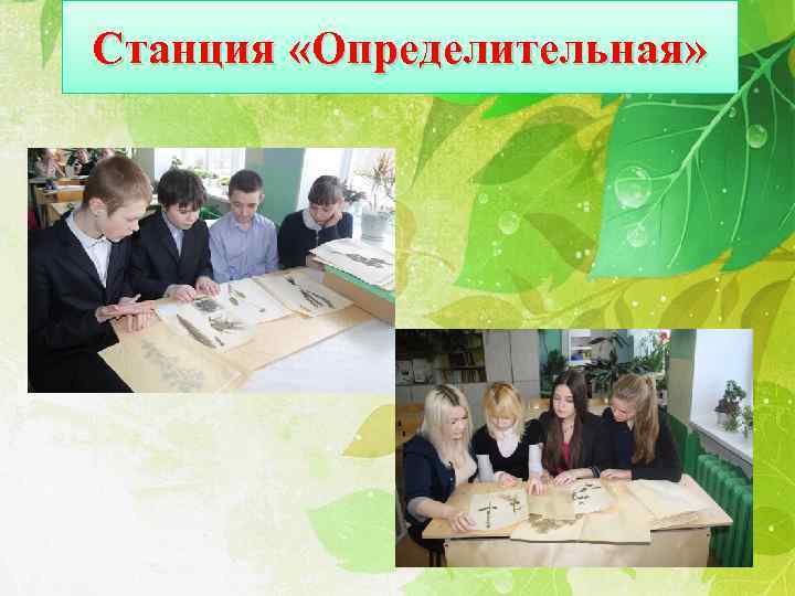 Станция «Определительная» 