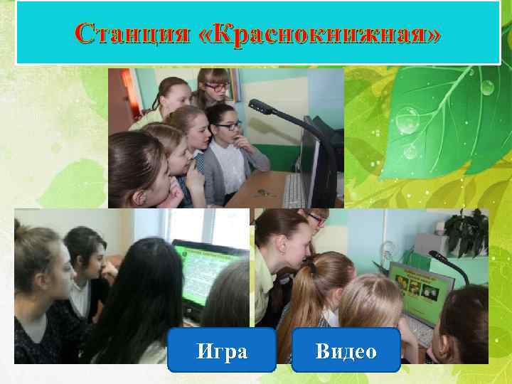 Станция «Краснокнижная» Игра Видео 