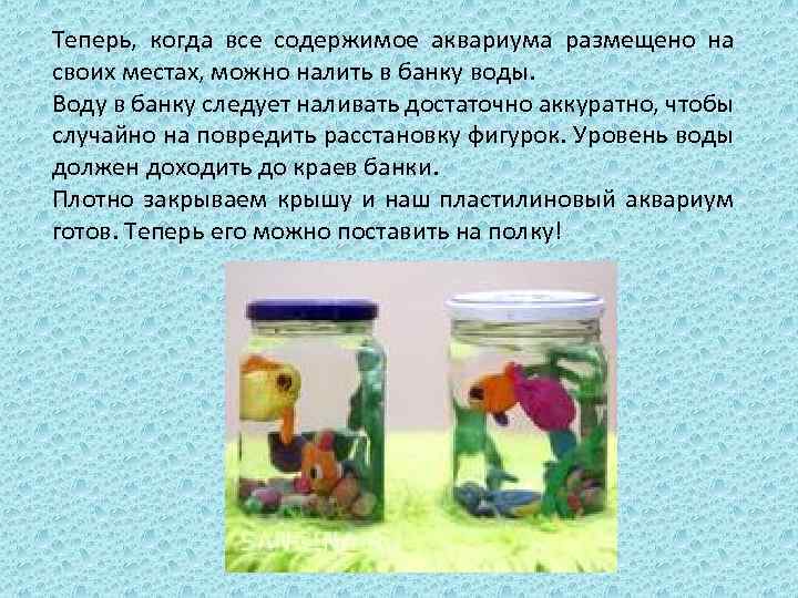 Теперь, когда все содержимое аквариума размещено на своих местах, можно налить в банку воды.