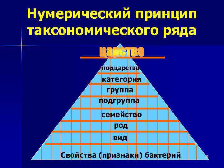 Нумерический принцип таксономического ряда подцарство категория группа подгруппа семейство род вид Свойства (признаки) бактерий