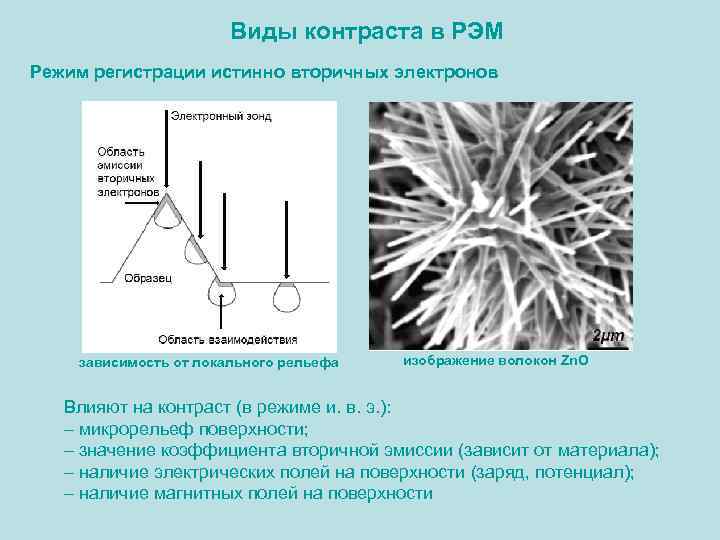 Виды контраста в РЭМ Режим регистрации истинно вторичных электронов зависимость от локального рельефа изображение