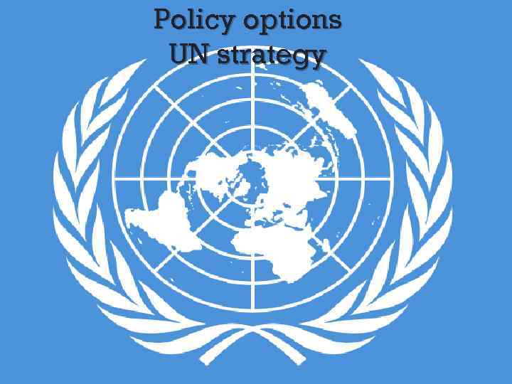 Policy options UN strategy 