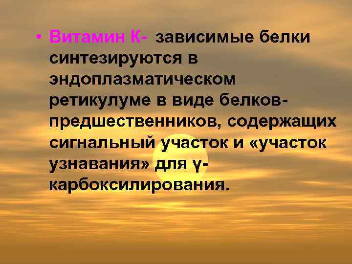  • Витамин К- зависимые белки синтезируются в эндоплазматическом ретикулуме в виде белковпредшественников, содержащих