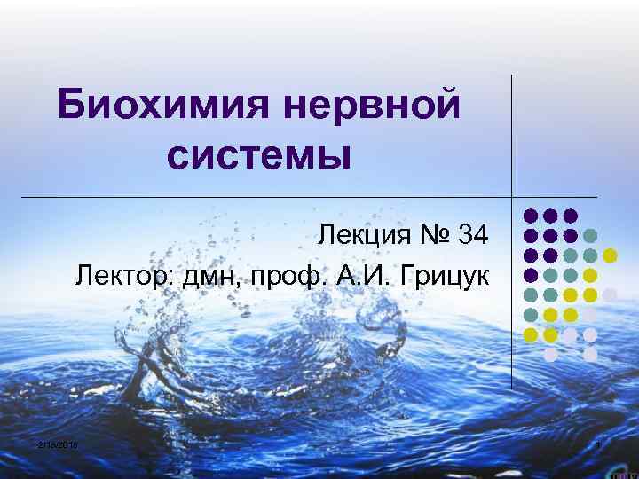 Биохимия нервной системы Лекция № 34 Лектор: дмн, проф. А. И. Грицук 2/18/2018 1