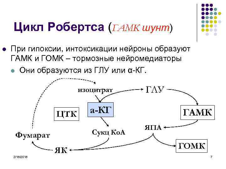 Цикл Робертса (ГАМК шунт) l При гипоксии, интоксикации нейроны образуют ГАМК и ГОМК –