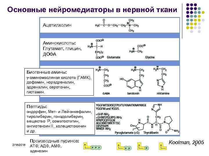 Основные нейромедиаторы в нервной ткани Ацетилхолин Аминокислоты: Глутамат, глицин, ДОФА Биогенные амины: g-аминомасляная кислота