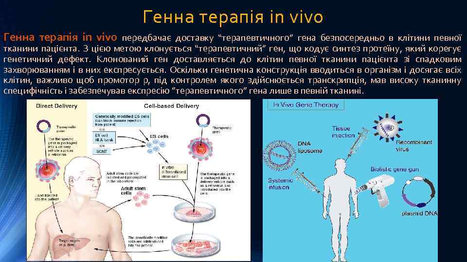 Генна терапія in vivo передбачає доставку “терапевтичного” гена безпосередньо в клітини певної тканини пацієнта.