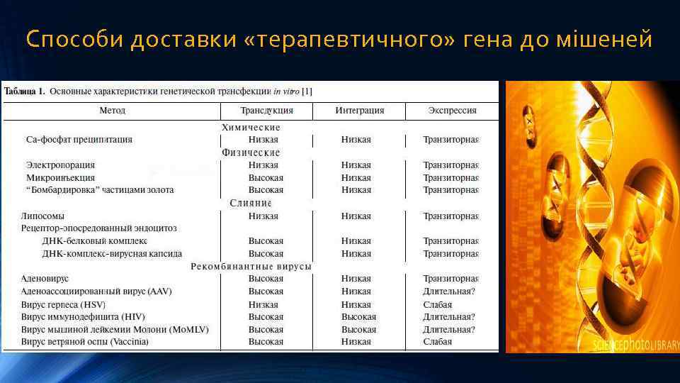 Способи доставки «терапевтичного» гена до мішеней 