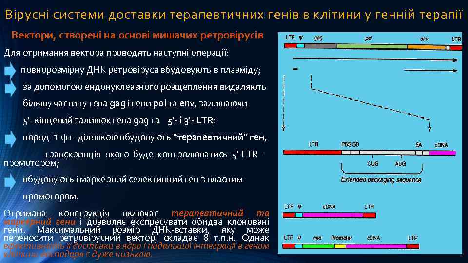 Вірусні системи доставки терапевтичних генів в клітини у генній терапії Вектори, створені на основі