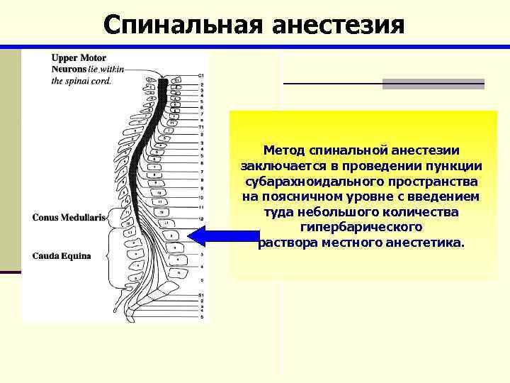 Спинальная анестезия Метод спинальной анестезии заключается в проведении пункции субарахноидального пространства на поясничном уровне