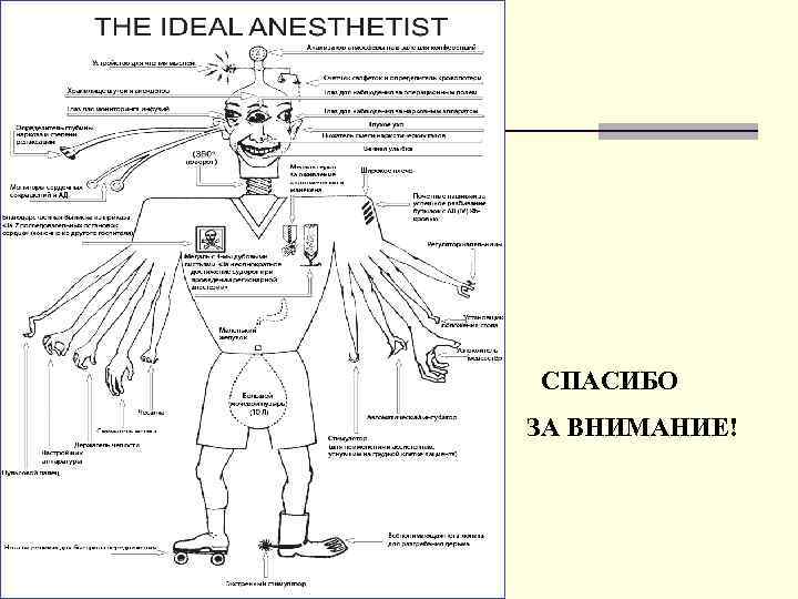 СПАСИБО ЗА ВНИМАНИЕ! n 