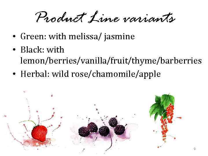 Product Line variants • Green: with melissa/ jasmine • Black: with lemon/berries/vanilla/fruit/thyme/barberries • Herbal: