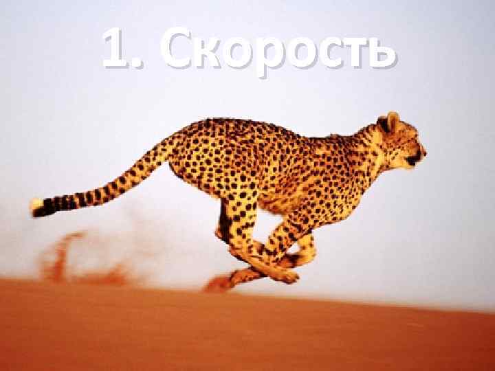 1. Скорость 