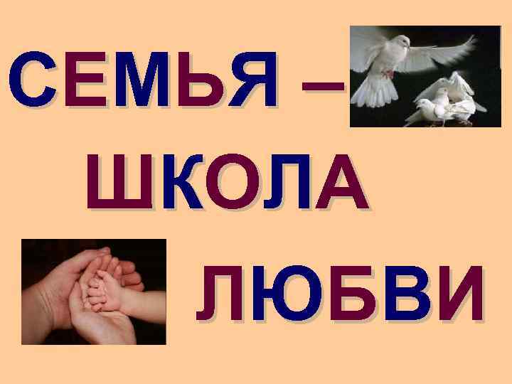 С Е МЬ Я – Ш КО Л А Л Ю Б ВИ 