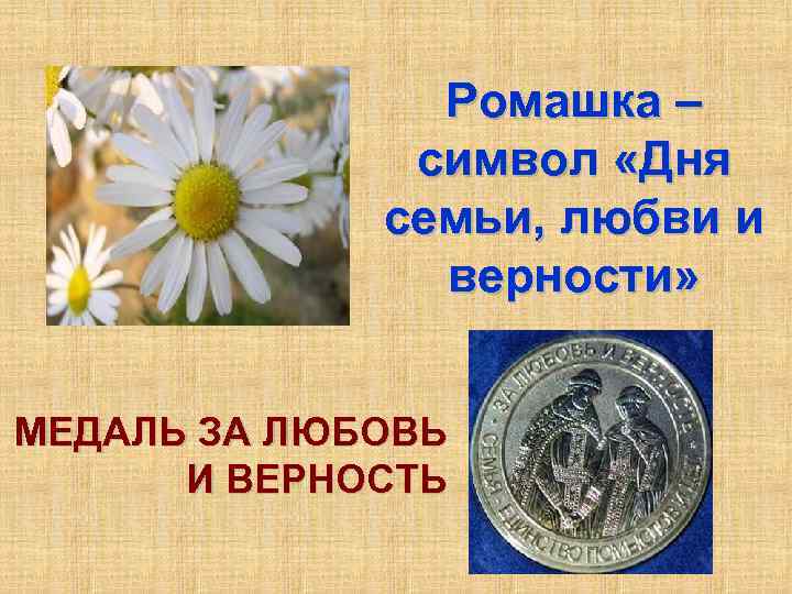 Ромашка – символ «Дня семьи, любви и верности» МЕДАЛЬ ЗА ЛЮБОВЬ И ВЕРНОСТЬ 